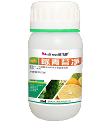 ����̦��