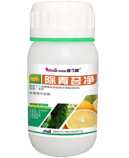 ����̦��