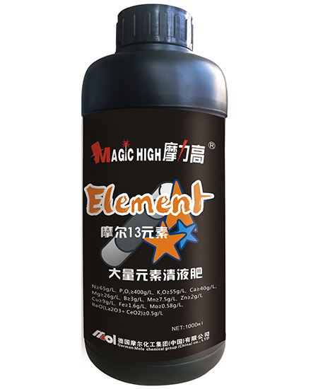 Ħ��ʮ��Ԫ��