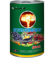 �_ʩ������(�����)