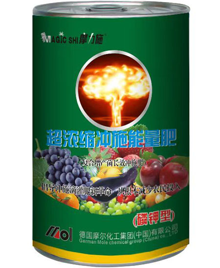 �_ʩ������(�����)