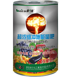 ����s�_ʩ��(������)