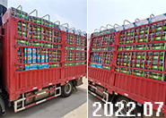 11����ጵ��ʰl�����