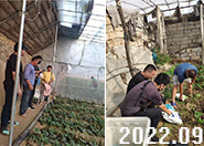 Ħ���_չ���»��L���·��ƏV