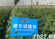 �S��ԇ���ȡ�ÈA�M�ɹ�