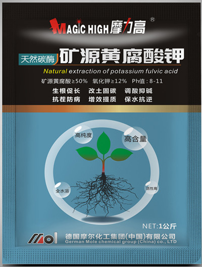 �VԴ�S�����