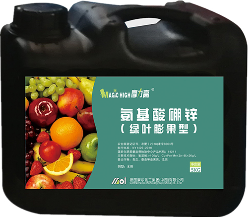 ���������\(�Gɫ�����)