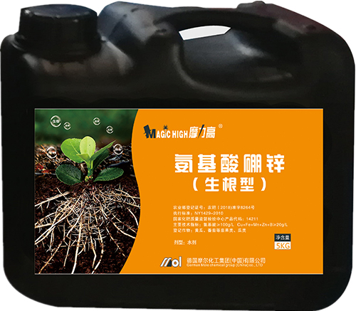 ���������\(������)