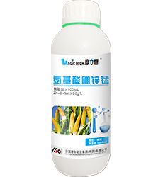 ���������\�i(���׌�����)