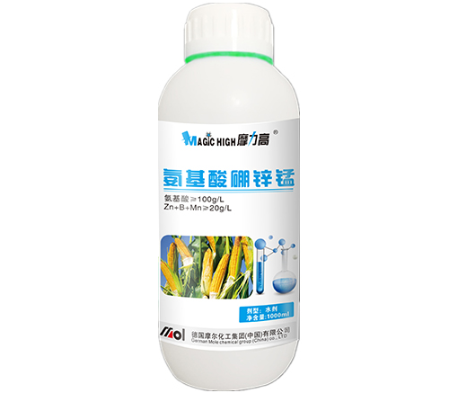 ���������\�i(���׌�����)