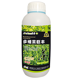 ���~�~���(�䷽����)