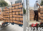 10���������⛷ʰl���½�