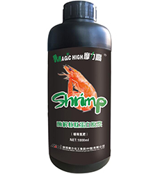 ø���r�ĵ���ԭ�{(��ጵ�����)