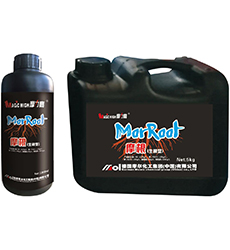 Ħ��(����)