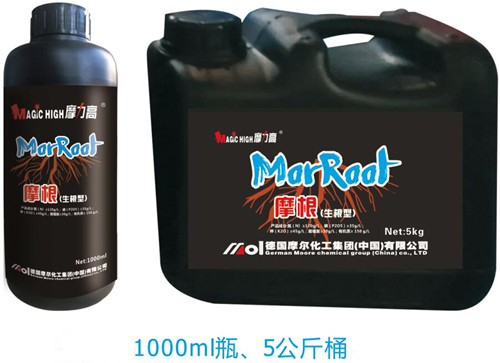 Ħ��(����)