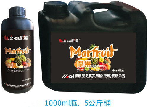 Ħ��(�������)