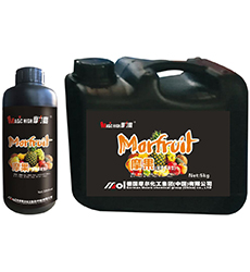 Ħ��(�������)