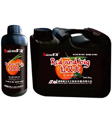 �t�ִ�(00-500-600+TE)