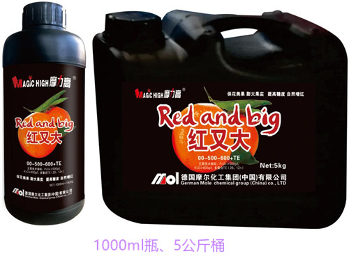 �t�ִ�(00-500-600+TE)