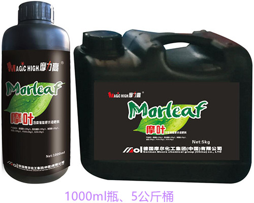 ����ֳ��ˮ�ܷ���Ħ�~