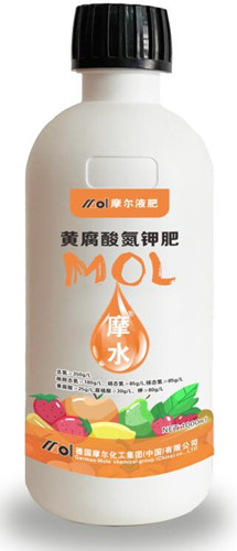 �S���ᵪ⛷�