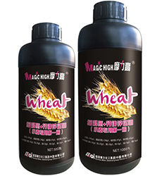 С�����õ�һ��