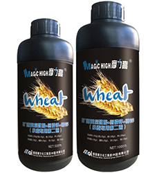 С�����õڶ���