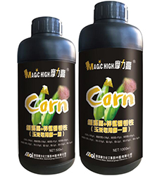 ���׌��õ�һ��