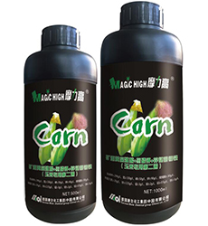 ���׌��õڶ���