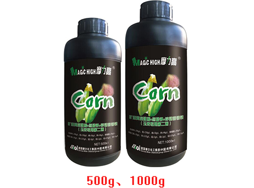 ���׌��õڶ���