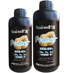 �������õ�һ��