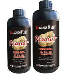 �������õڶ���