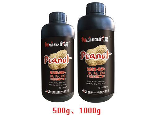 �������õڶ���