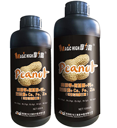 �������õ�����