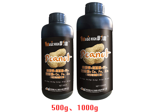 �������õ�����