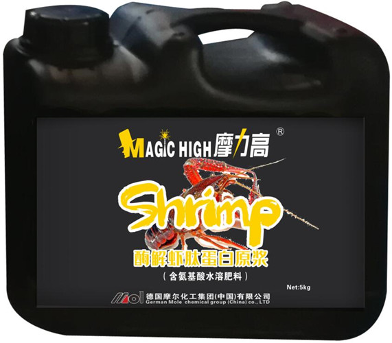 ø���r�ĵ���ԭ�{(��������)5����