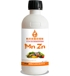 �ЙC(j��)�������i�\