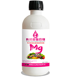 �ЙC(j��)�������V