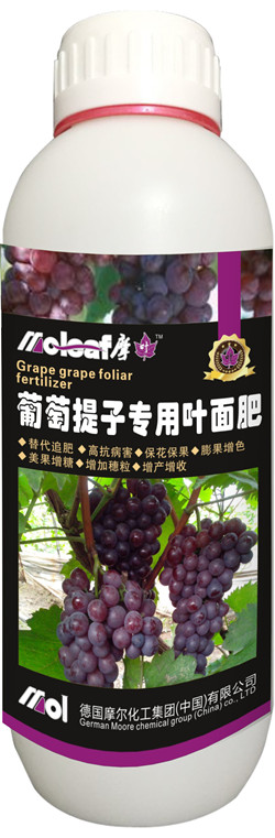 ƿ�b���������~���