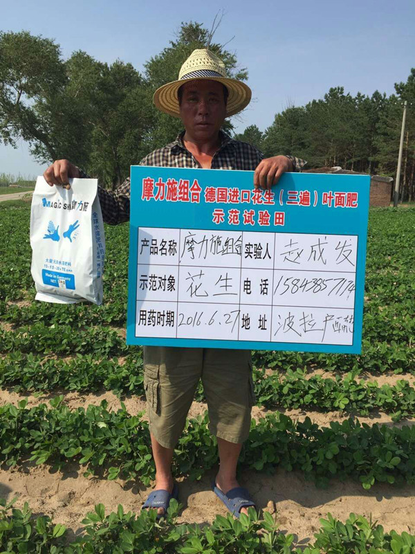 摩爾水溶肥在花生上的試驗(yàn) 摩爾水溶肥在花生上的試驗(yàn)