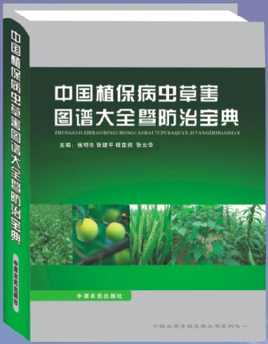 �Ї�ֲ�����x�ݺ��D�V��ȫ