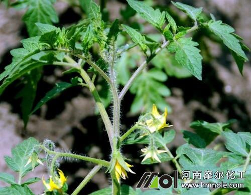 ���ѻ�ǰ׷ʩˮ�ܷ�