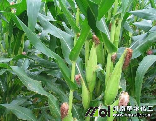 ���׷Nֲ�÷�