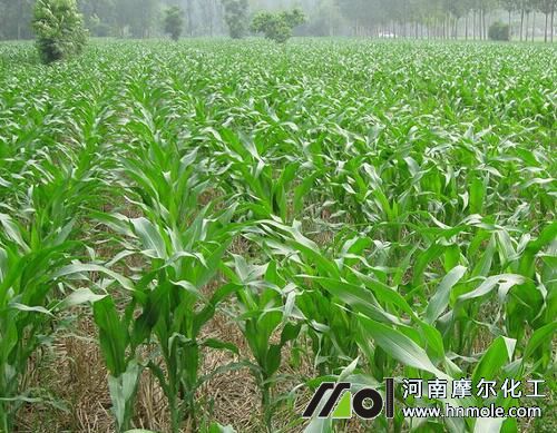 ��������׷��