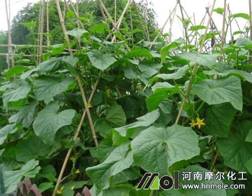 �S������׷��