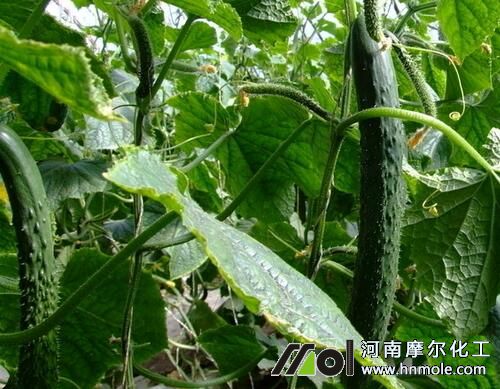 �S�ϽY(ji��)������׷��