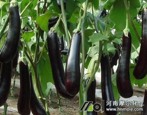 �����L���r������c