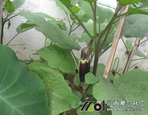 ����ʹ�ø��ˮ�ܷ�