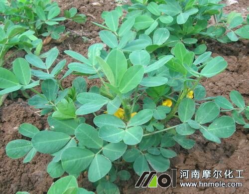 ��������׷ʩˮ�ܷ�