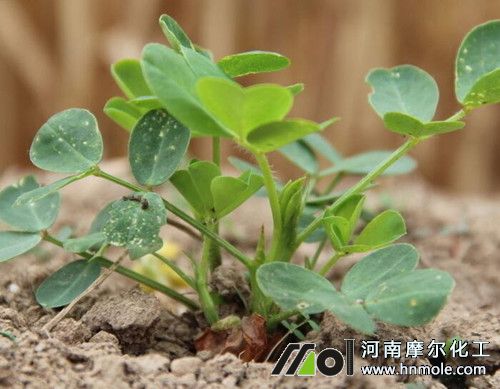 ��������׷ʩˮ�ܷ�